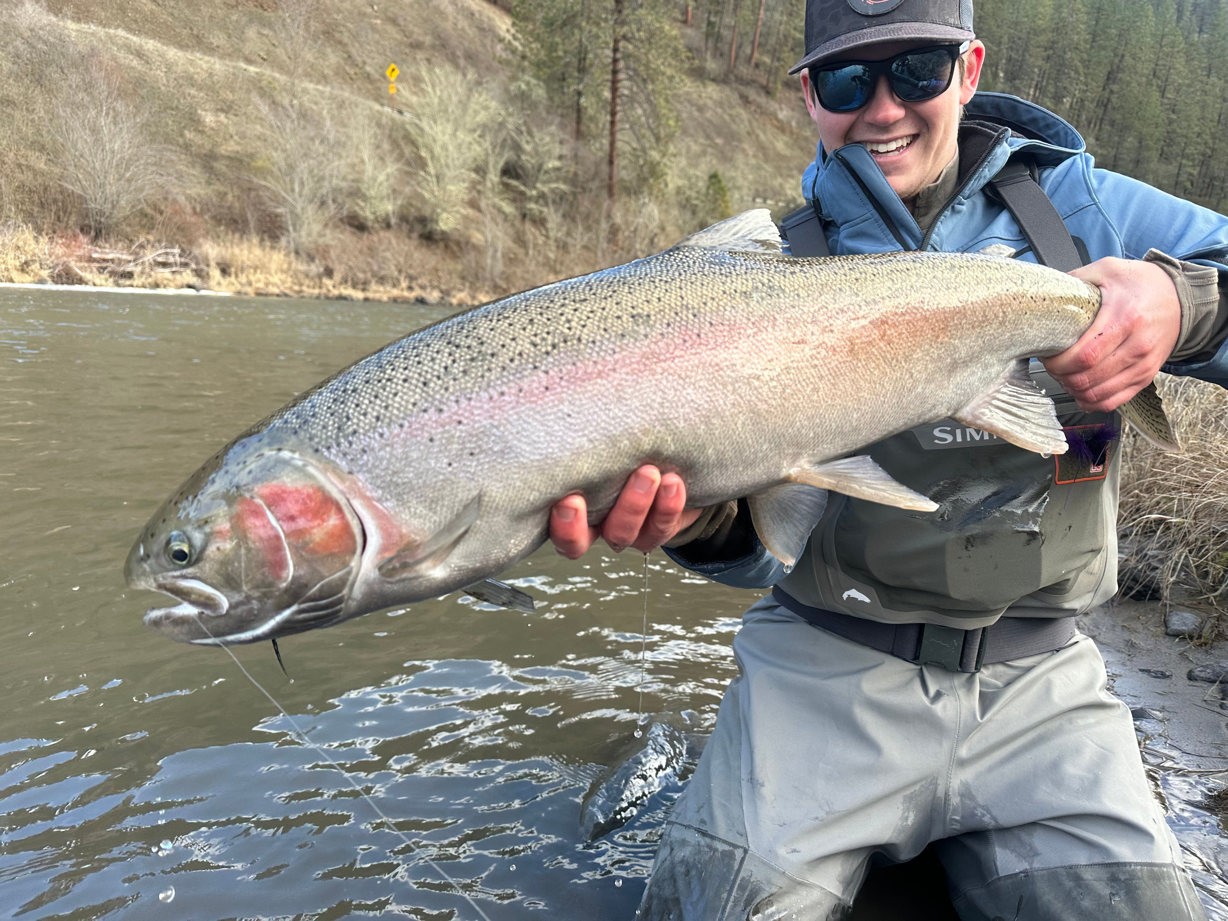 Vaughn - Principal Fisheries Biology Consultant